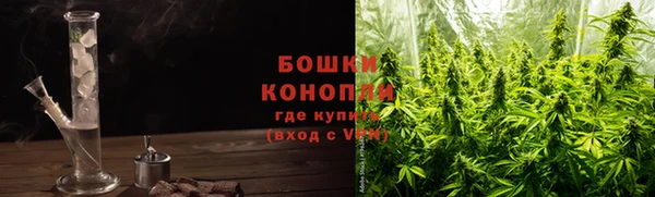 ПСИЛОЦИБИНОВЫЕ ГРИБЫ Новокубанск