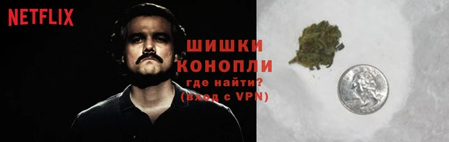 ГАЛЛЮЦИНОГЕННЫЕ ГРИБЫ Дмитровск
