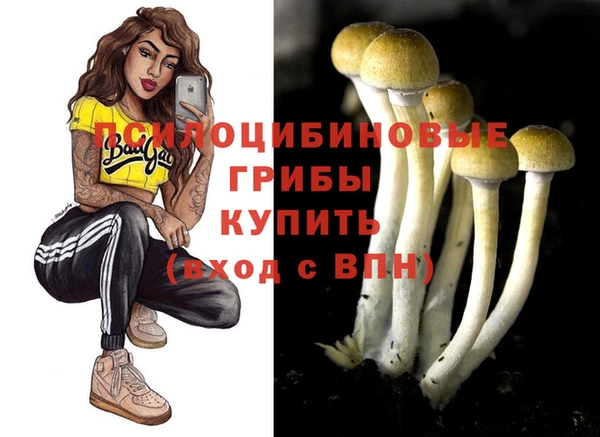 герыч Елизово