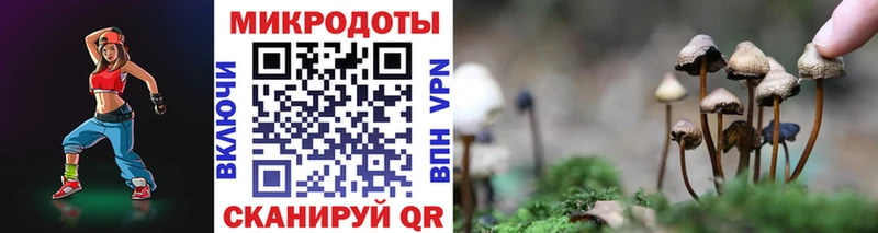 Галлюциногенные грибы Psilocybe как найти закладки omg tor Перевоз