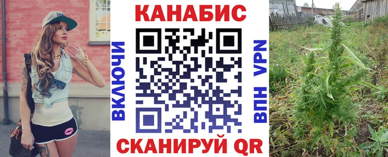 Бошки марихуана THC 21%  Перевоз 